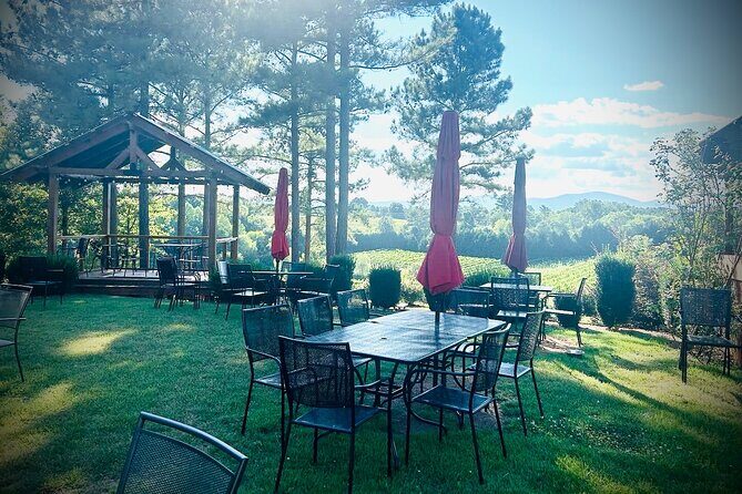 Three Vineyards Half Day Private Wine Tour From Asheville - Practical Details and Tips
