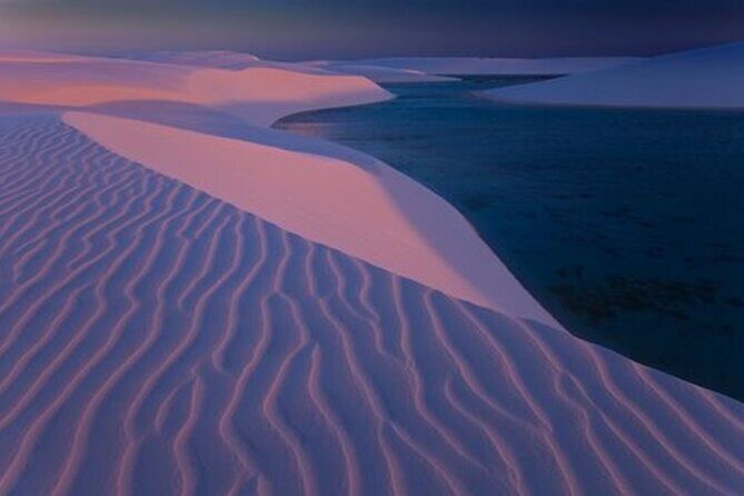 Thrilling 4-Hour Dune Bashing & Camel Ride Safari to Inland Sea - The Sum Up