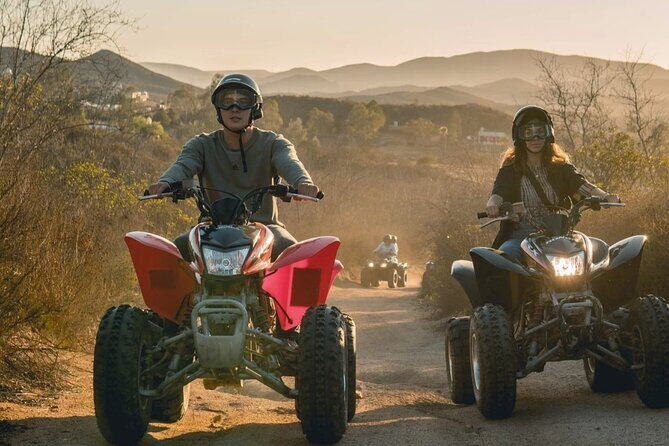 Thrilling ATV Ride Through Vineyards with Port Pickup - Who will love this tour?