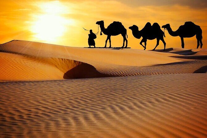 Thrilling dune bashing with VIP Desert camp delicious BBQ & shows - What to Expect: A Closer Look at the Experience