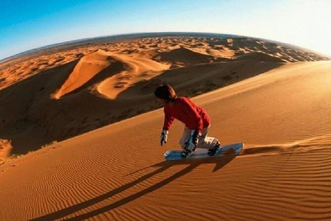 Thrilling Morning Red Dune Desert Safari with Camel Ride in Dubai - Who Would Love This Experience?