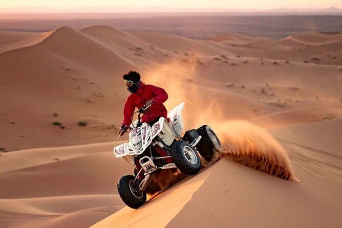 Thrilling Red Dune Safari with Quad Bike - Final Thoughts: Who Will Appreciate This Tour?