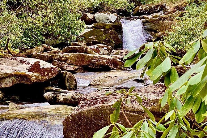 Thundering Streams and Falls of the Smokies Guided Hiking Tour - Key Points