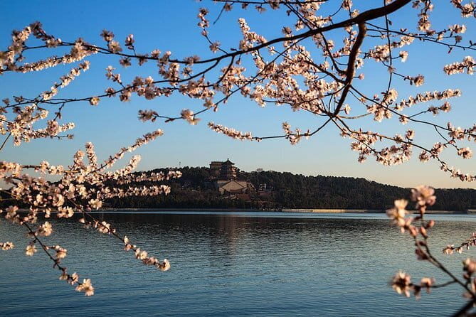 Tiananmen Square, Forbidden City and Cruise to the Summer Palace - In-Depth Review of the Tour Experience