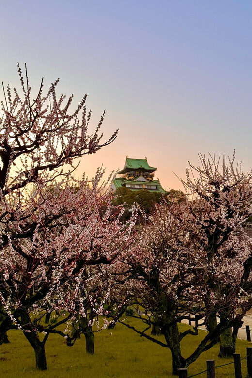(Ticket Included) Explore Osaka Castle & Museum of History - A Deep Dive into the Experience