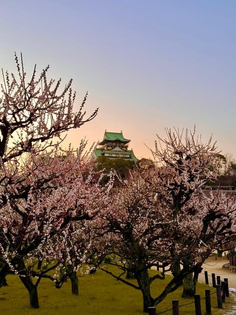 (Ticket Included) Explore Osaka Castle & Museum of History - Who Will Love This Tour?