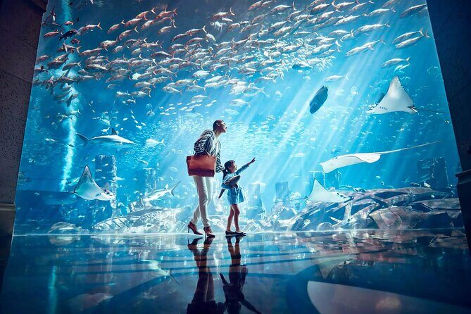 Ticket to Atlantis Aquaventure Waterpark & Combo - What to Expect from the Itinerary