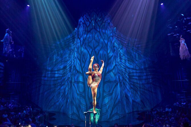 Ticket to Cirque du Soleil JOYÁ - FAQ