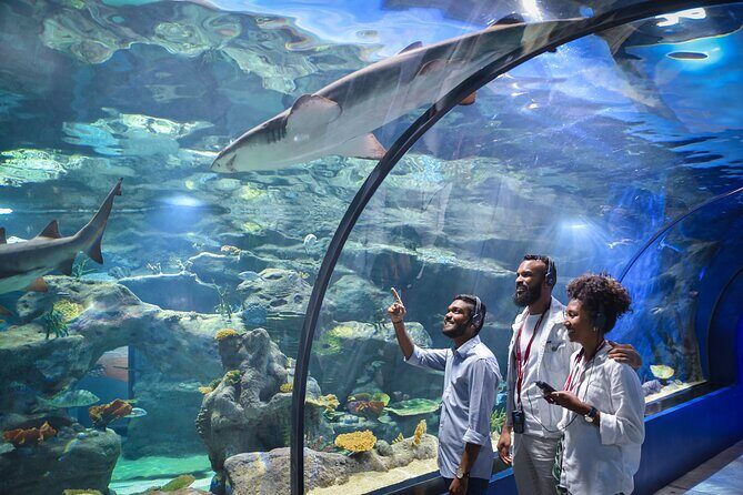 Ticket to the largest Oceanarium of the Mascarene Islands - A Closer Look at the Itinerary