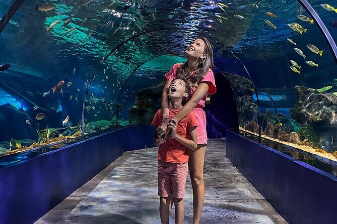 Ticket to the largest Oceanarium of the Mascarene Islands - Comparing with Similar Experiences