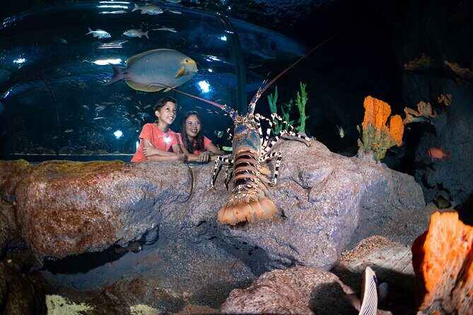 Ticket to the largest Oceanarium of the Mascarene Islands - Who Will Enjoy This Tour?
