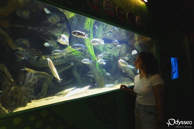 Ticket to the largest Oceanarium of the Mascarene Islands - Final Thoughts: Is It Worth It?