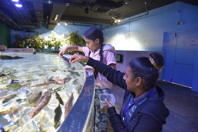 Ticket to the largest Oceanarium of the Mascarene Islands - FAQ