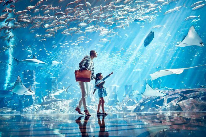 Tickets to Atlantis Lost Chambers Aquarium - What Visitors Say: Authentic Perspectives
