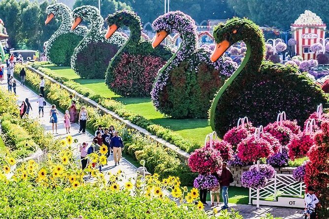 Tickets to Miracle Garden or Butterfly Garden or Global Village - The Sum Up: Is It Worth It?