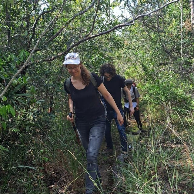 Tien Son Dinh 1-Day Trekking Tour Phu Quoc - Authenticity and Traveler Feedback
