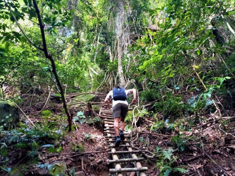 Tien Son Dinh 1-Day Trekking Tour Phu Quoc - Who Should Consider This Tour?