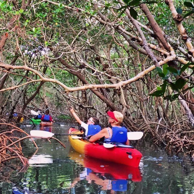 Tierra Verde FL: Coastal Kayaking Tour in Shell Key - An In-Depth Look at the Shell Key Kayaking Experience