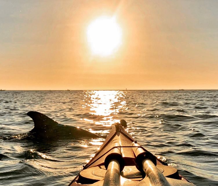 Tierra Verde FL: Coastal Kayaking Tour in Shell Key - FAQs