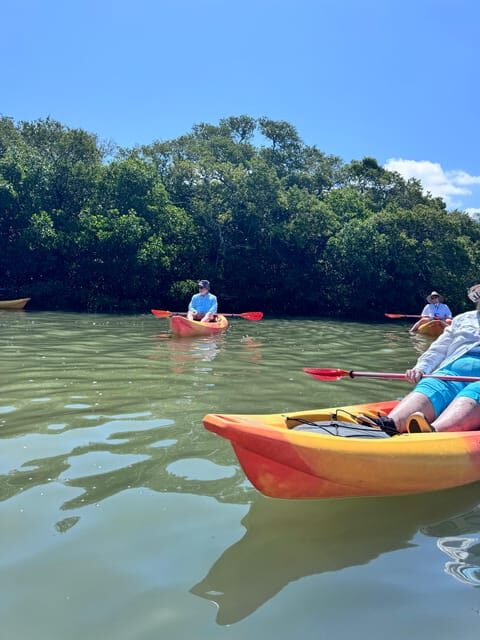 Tierra Verde: Shell Key Mangrove Private Guided 1.5 hr Tour - Why This Tour Might Be Perfect for You
