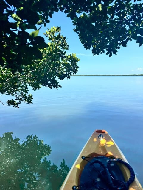 Tierra Verde: Shell Key Mangrove Private Guided 1.5 hr Tour - Final Thoughts