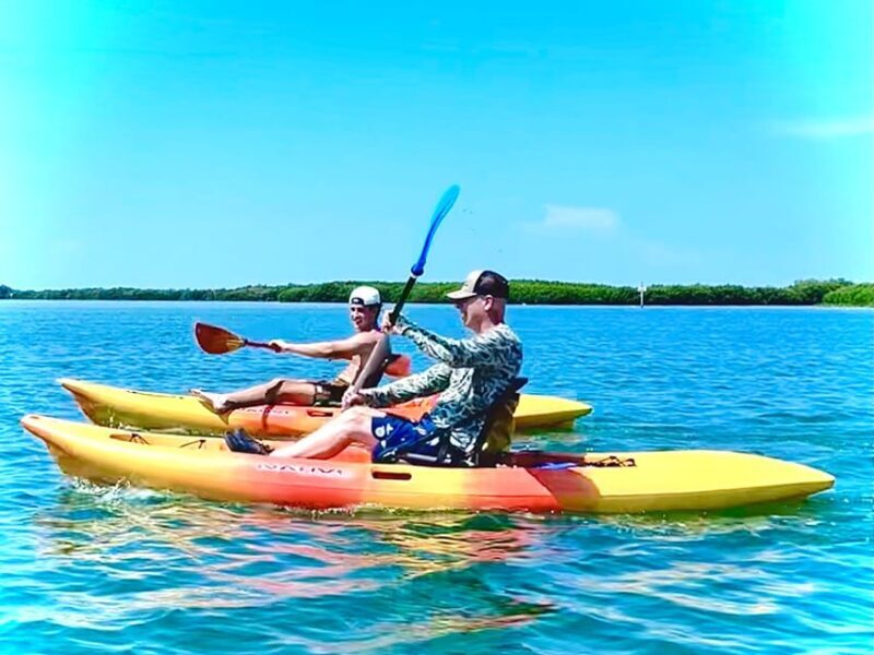 Tierra Verde: Shell Key Mangrove Private Guided 1.5 hr Tour - FAQ