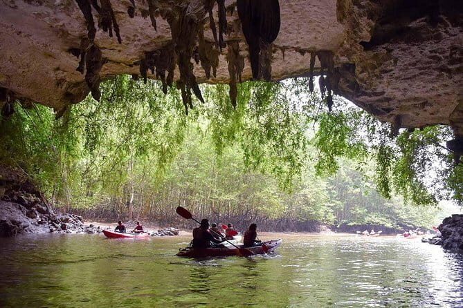 Tiger Cave and Emerald Pool Jungle Tour - The Overall Value and Suitability