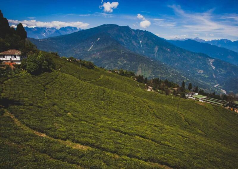 Tiger Hill Darjeeling Nature Walk (3 Hours Guided Tour) - Key Points