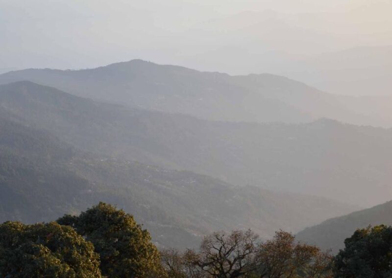 Tiger Hill Darjeeling Nature Walk (3 Hours Guided Tour) - An In-Depth Look at the Tiger Hill Darjeeling Nature Walk