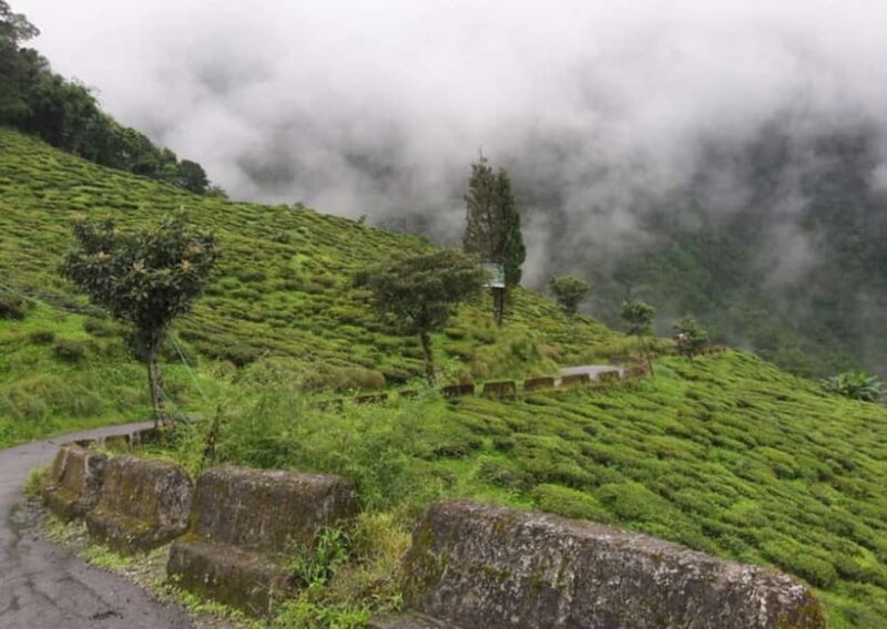 Tiger Hill Sunrise and Hiking Tour from Darjeeling - Key Points