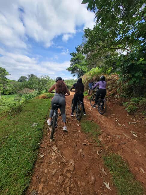 Tigoni: E-bike Tour - Key Points