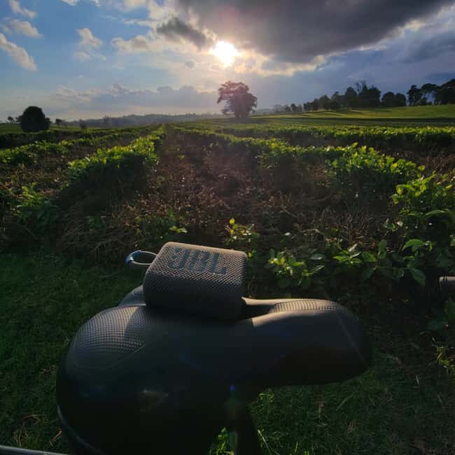 Tigoni: E-bike Tour - Introduction: A Scenic Ride for Curious Travelers
