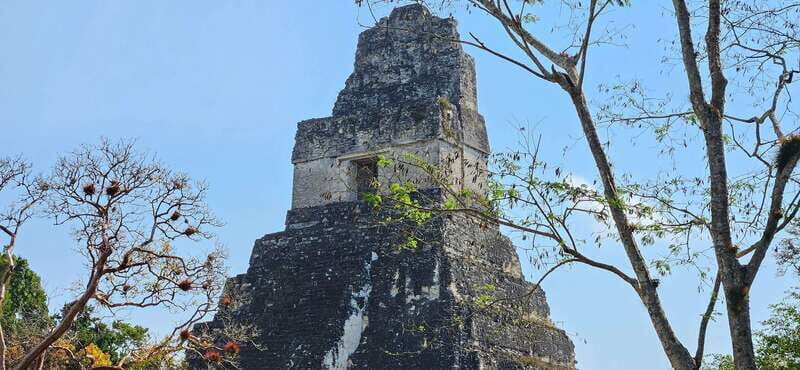 Tikal from Hotel Camino Real El Remate - All Inclusive - Who Should Consider This Tour?