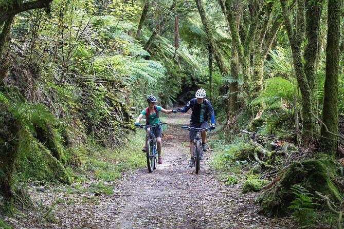 Timber Trail - Ongarue to Pureora Shuttle 2 Day Ride - Who Will Love This Tour?