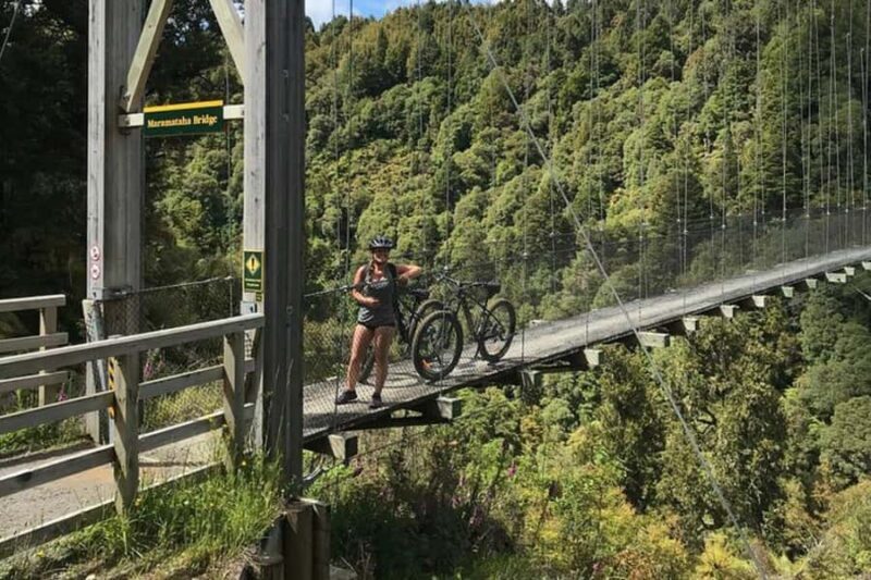 Timber Trail Two Day Mountain Bike Ride - Shuttle Service - Discovering the Timber Trail: An Authentic New Zealand Experience