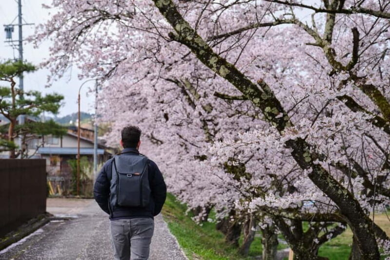 Timeless Takayama: Private Walk Through History & Beauty - The Tour at a Glance