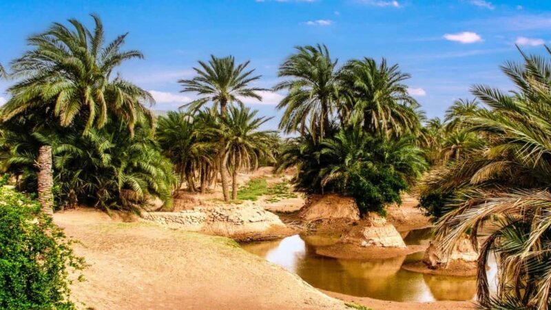 Timimoun: Guided Walking Tour with Lunch - Who Should Take This Tour?