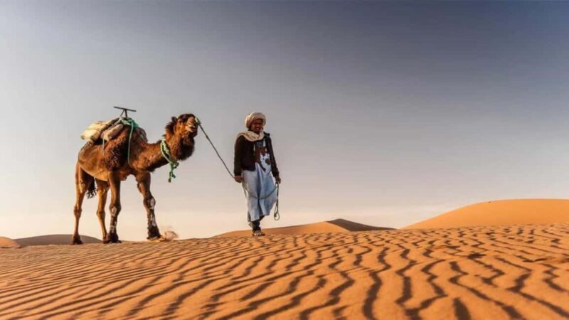 Timimoun: Sahara Camel Ride with Dinner and Music Show - Timimoun: Sahara Camel Ride with Dinner and Music Show — A Deep Dive