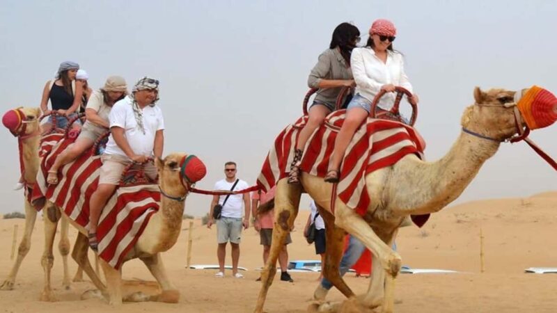 Timimoun: Sahara Camel Ride with Dinner and Music Show - Frequently Asked Questions