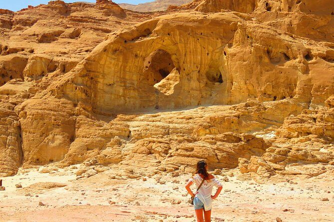Timna Park Tour from Eilat - Why You’ll Love the Timna Park Tour