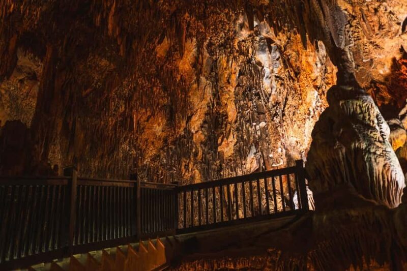 Tingo Maria: Mantle Cave - Rappelling and Climbing