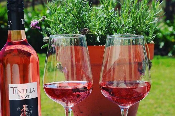 Tintilla Estate: Wine Tasting with a Meat and Cheese Platter - A Closer Look at the Tintilla Estate Experience