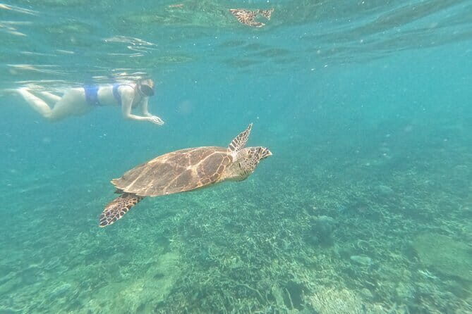 Tioman Coral Island Snorkeling & Island Hopping Tour - Stop 3: Pulau Tulai – Genting Bay