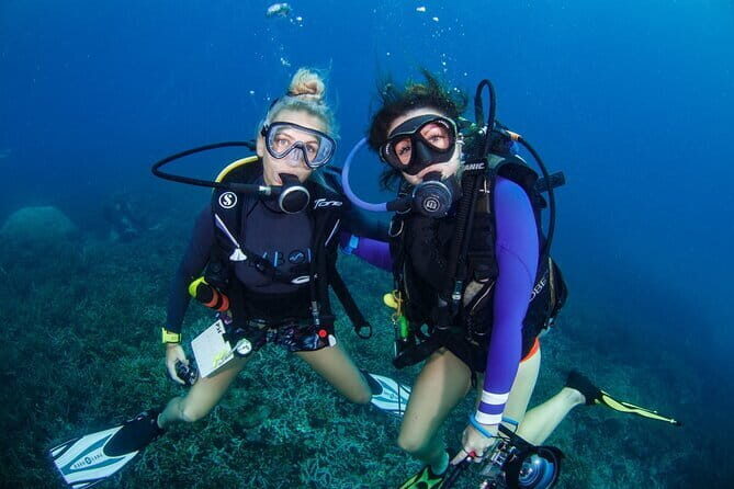 Tioman Coral Island Snorkeling & Island Hopping Tour - Final Stop: Tioman Marine Park