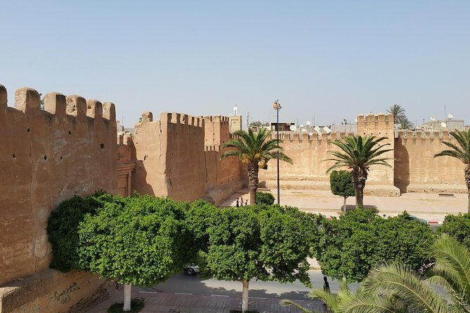 Tiout Taroudant Day Trip From Agadir - A Detailed Look at the Tour