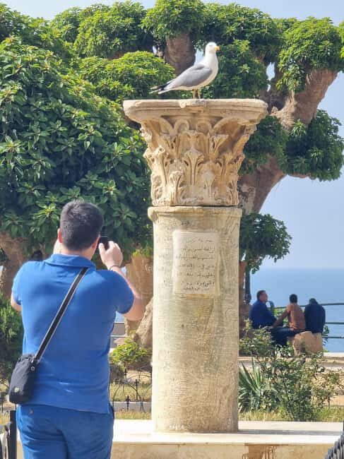 Tipaza and Cherchell: Private Guided Tour - Final Thoughts