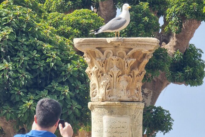 Tipaza and Cherchell Tour - Authentic Experience and Local Insights