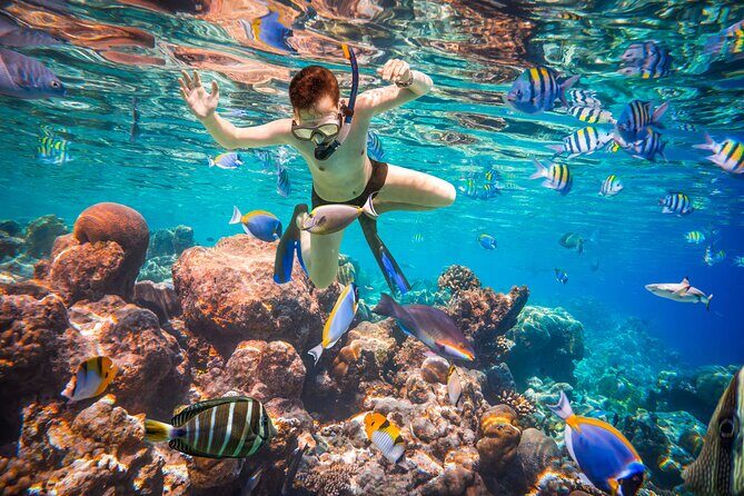 Tiran Island Boat Trip with Snorkeling 2 stop at Sharm El Sheikh - A Closer Look at the Trip