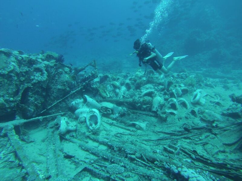 Tiran Island: Full-day Snorkeling, Diving Boat Trip - A Deep Dive into the Tiran Island Experience