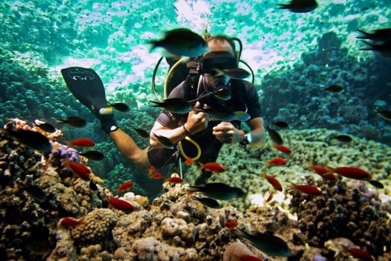 Tiran Island: Full-day Snorkeling, Diving Boat Trip - FAQ